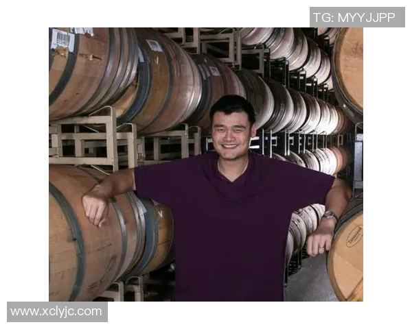 姚明红酒2012的独特魅力与品鉴体验探秘之旅 姚明红酒2012的独特魅力与品鉴体验探秘之旅