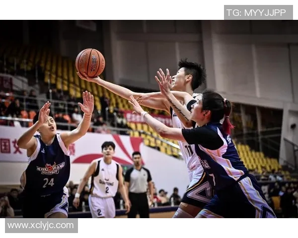 2018年CBA季后赛辽宁队对阵上海队精彩回顾与赛场瞬间分析