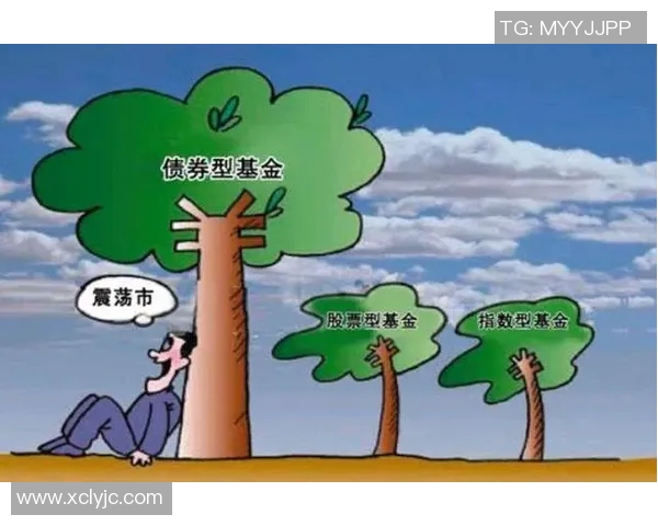 篮球明星破产背后的故事与教训揭示了财富管理的重要性与风险 篮球明星破产背后的故事与教训揭示了财富管理的重要性与风险